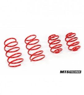 BMW 3 Series / E36 Compact 1994-2001 40/40 mm MTS Žeminančios spyruoklės MTSXBM126
