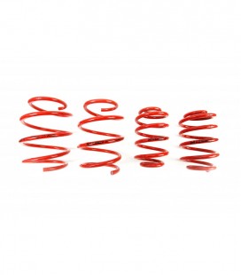 BMW 3 Series / E46 Sedan 1998- 40/40 mm MTS Lowering Springs MTSXBM131