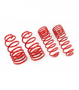 BMW 5 Series / E12 1977-1981 40/40 mm MTS Lowering Springs MTSXBM037