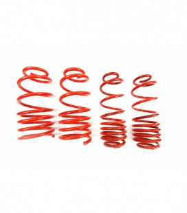 Volkswagen Bora 1997- 35/35 mm MTS Lowering Springs MTSXVW178