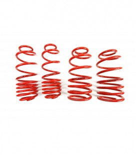 Volkswagen Golf IV 1997-2003 35/35 mm MTS Lowering Springs MTSXVW177