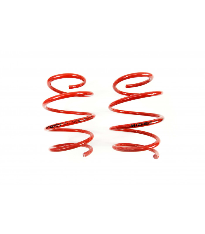 BMW 3 Series / E46 Sedan 1998- 40 mm MTS Front Spring MTSXBM130VA