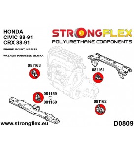 081160B: Engine mount inserts front