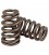 Conical valve spring MAZDA MZR FORD Duratec 2.0 - 2.3 - 2.5 L Focus Mazda 3