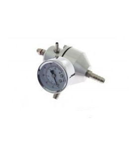 Fuel pressure regulator TurboWorks FPR04 SILVER