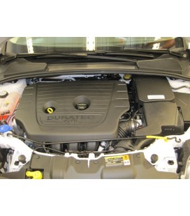 K&N oro filtras E-2993