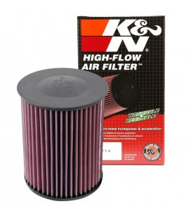 K&N oro filtras E-2993
