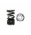 DUAL SPRING/TITANIUM RETAINER - NO SEAT (Honda K20A, F20C/F22C - RACE/LTD STREET)