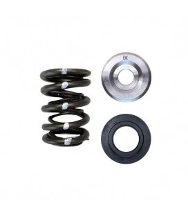 DUAL SPRING/TITANIUM RETAINER/SEAT KIT (Subaru FA20, Toyota 4UGSE)