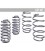 Eibach Pro-Kit Performance Springs ECOSPORT 20/25mm