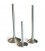 Exhaust valve HYUNDAI GENESIS 2.0L - DOHC 16 VALVE (TURBO BK) - 2008-2010