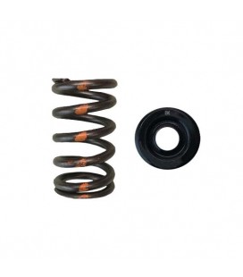 SINGLE SPRING/STEEL RETAINER KIT (Subaru EJ Series, Toyota 3SGTE/GE)