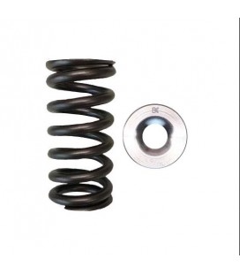 SINGLE SPRING/TITANIUM RETAINER KIT (Honda L15)