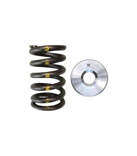 SINGLE SPRING/TITANIUM RETAINER KIT (Nissan TB48)