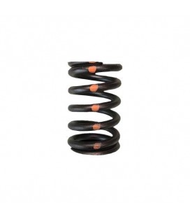 VALVE SPRINGS - SINGLE (Nissan TB48)