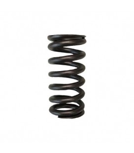 VALVE SPRINGS - SINGLE (Toyota 2ZZFE)