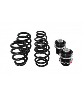 Suspension Street D2 Racing AUDI A5 SPORTBACK (4WD) 09+