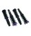 Coiloveriai D2 Racing Street HONDA Civic 92-95 Eye