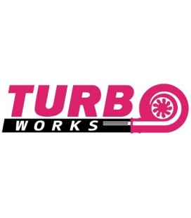 Suspension TurboWorks Hyundai Genesis 2009-2010