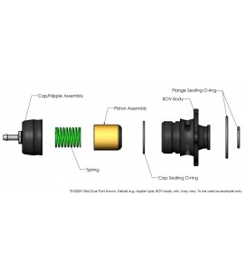 Turbosmart BLOW OFF vožtuvas Ford Focus RS 2.3 EcoBoost Dual Port