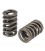 Valve spring kit HONDA K20 K24 TITANIUM VALVES