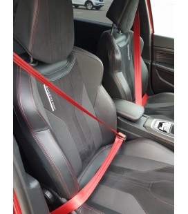 Seat belts 10M Orange