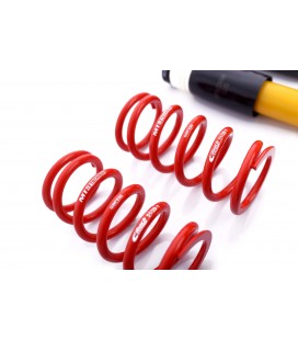 Skoda Fabia I Kombi 1999-2007 MTS Coiloveriai MTSGWVW29-S