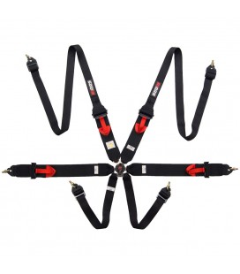 RRS R6 HANS 6 POINT 2/3" HARNESS FIA