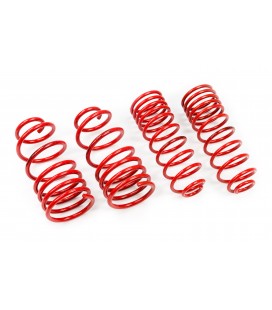 Audi A4 B9 Kombi 2015-2019 40/40mm MTS Lowering Springs MTSXAU313